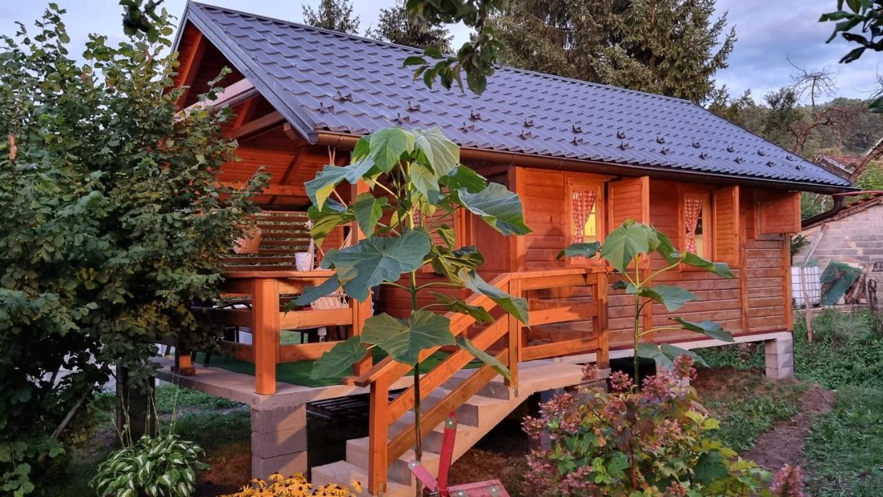 קולן וקוף Holiday Home Sajra מראה חיצוני תמונה