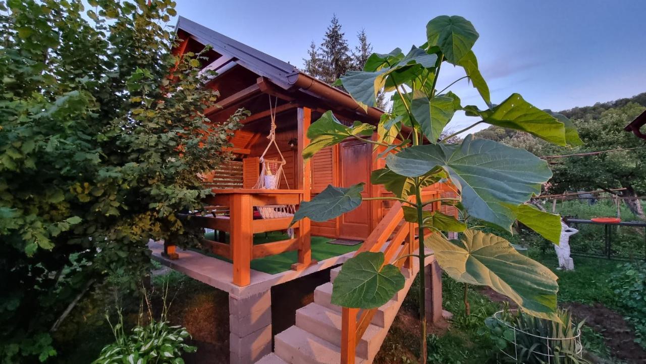 קולן וקוף Holiday Home Sajra מראה חיצוני תמונה