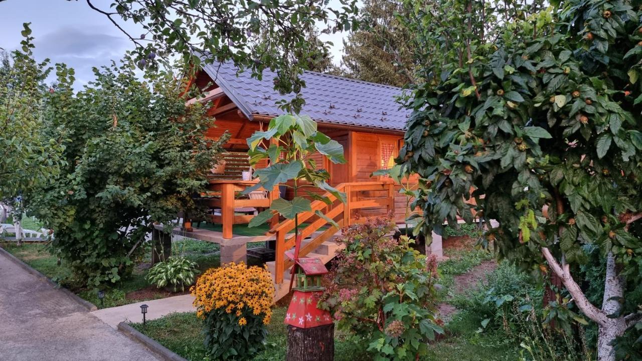 קולן וקוף Holiday Home Sajra מראה חיצוני תמונה