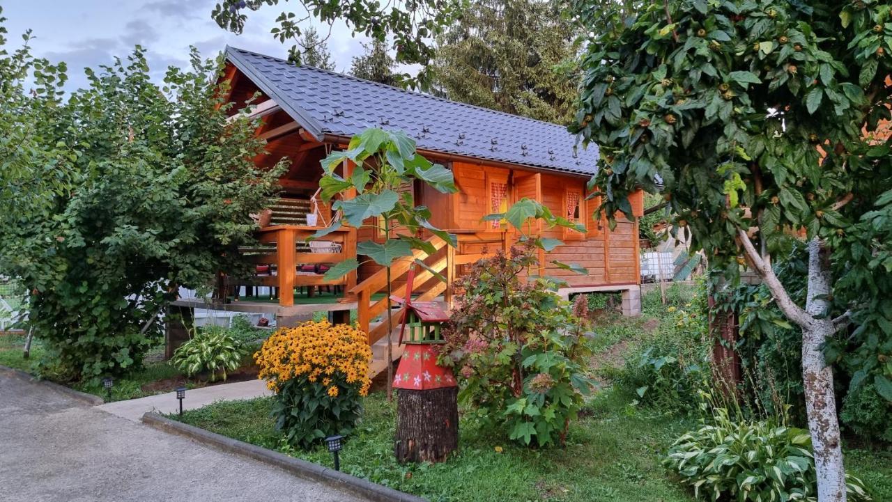קולן וקוף Holiday Home Sajra מראה חיצוני תמונה