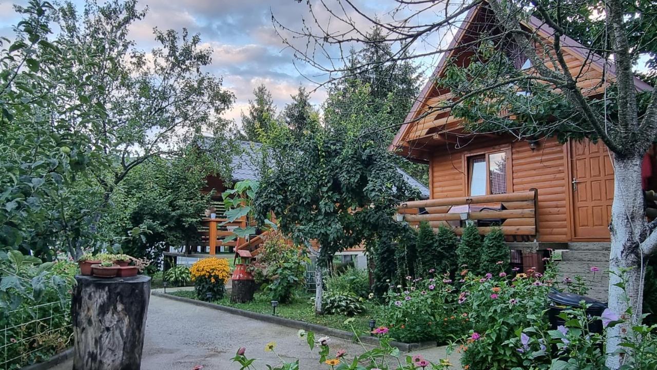 קולן וקוף Holiday Home Sajra מראה חיצוני תמונה