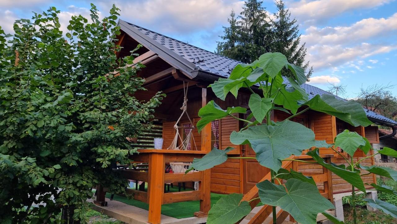 קולן וקוף Holiday Home Sajra מראה חיצוני תמונה